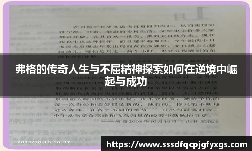 DB视讯