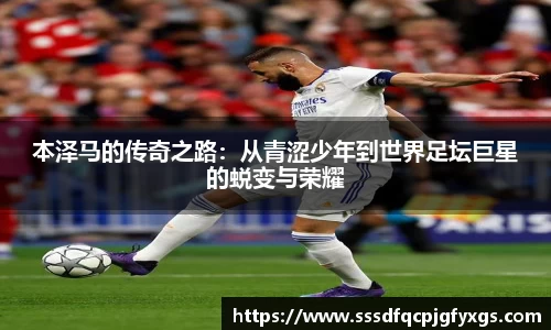 DB视讯平台DB视讯官方网站